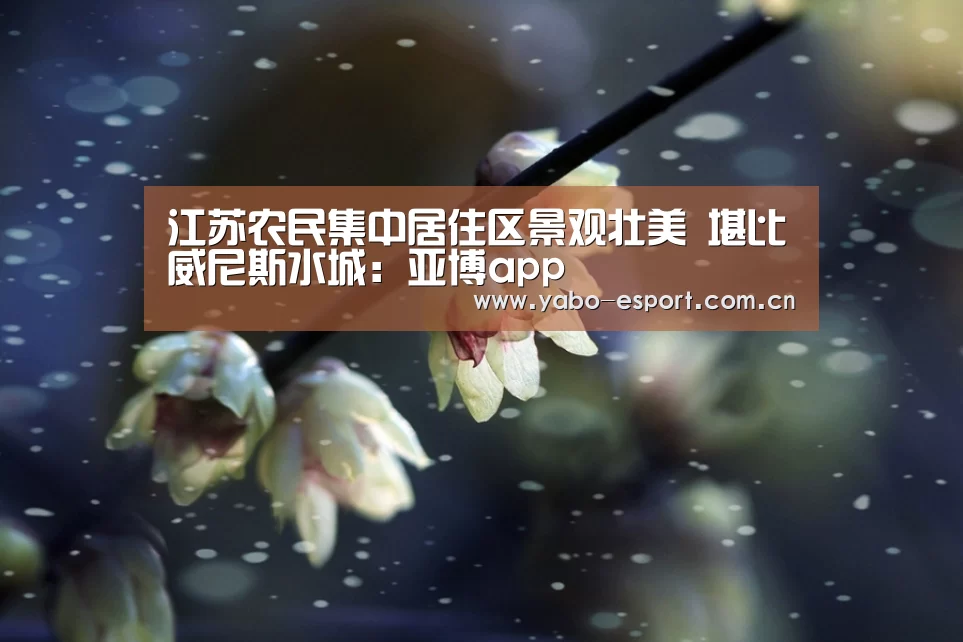 江苏农民集中居住区景观壮美 堪比威尼斯水城:亚博app(图2) 亚博平台