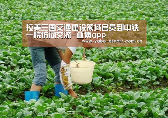 拉美三国交通建设领域官员到中铁一院访问交流-亚博app(图1) 亚博官网