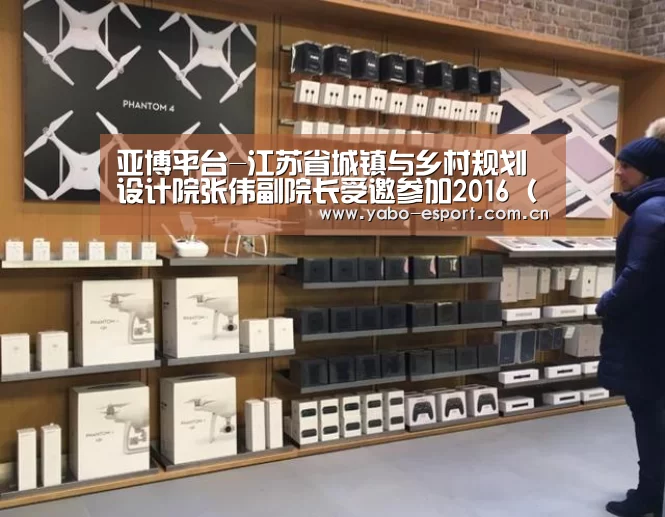 亚博平台-江苏省城镇与乡村规划设计院张伟副院长受邀参加2016(第十一届)城市发展与规划大会(图1) 亚博官网
