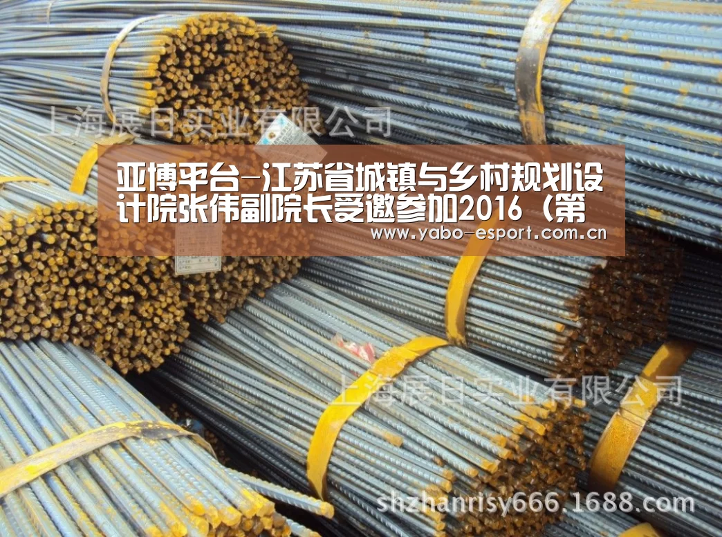 亚博平台-江苏省城镇与乡村规划设计院张伟副院长受邀参加2016(第十一届)城市发展与规划大会(图2) 亚博app